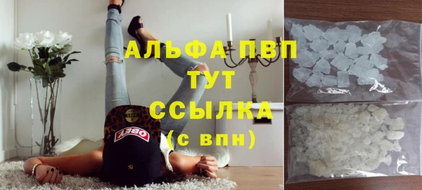 молекула духа Алексеевка