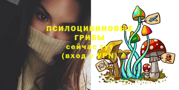 ГАЛЛЮЦИНОГЕННЫЕ ГРИБЫ Алексин